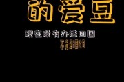 娱乐吃瓜频道有哪些名字,盘点那些让人欲罢不能的频道名称
